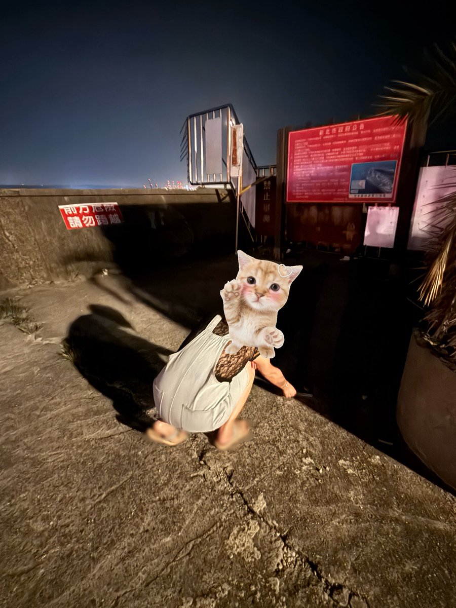 Do&Re新北夫妻 tweet media