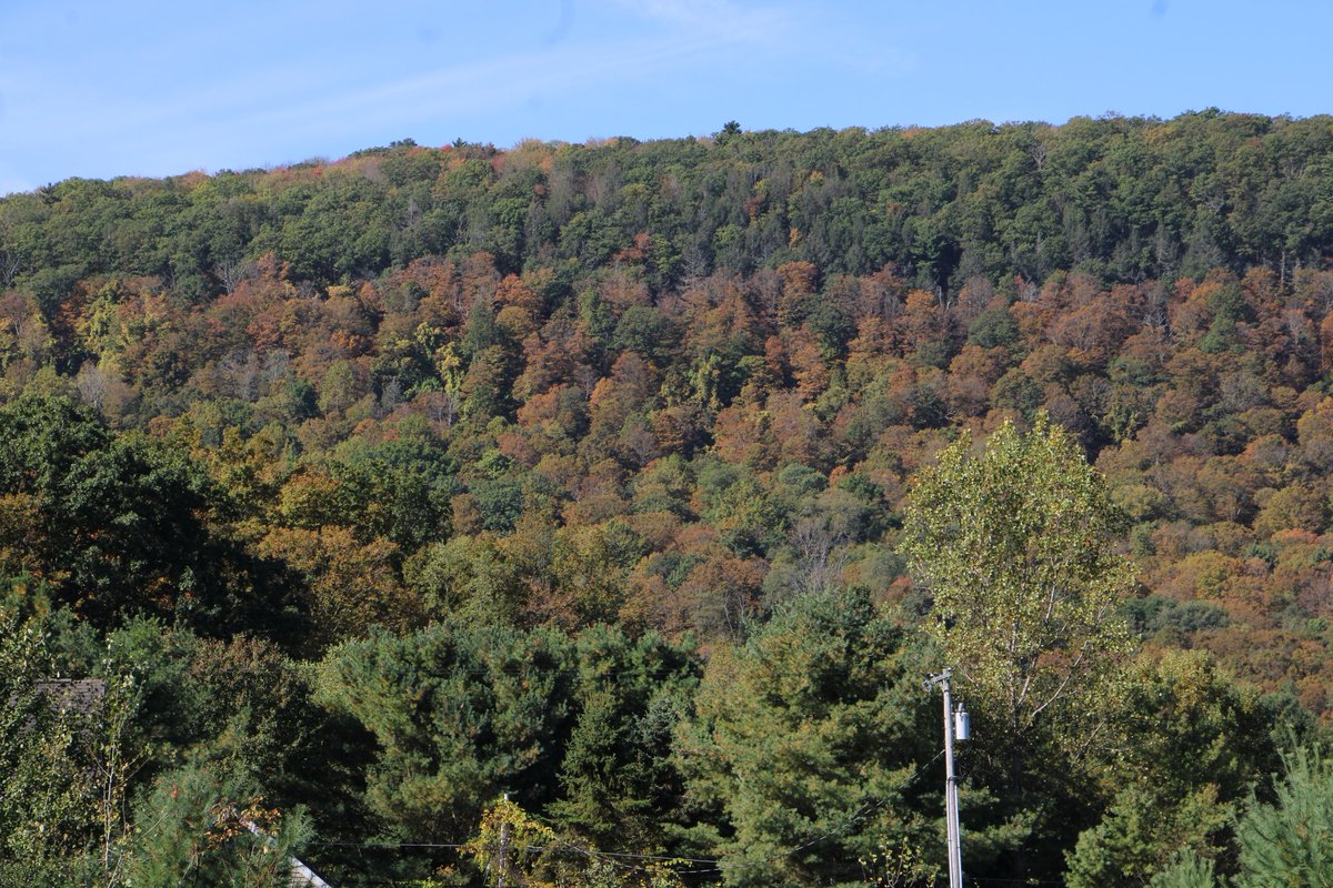 Jihan B. tweet media