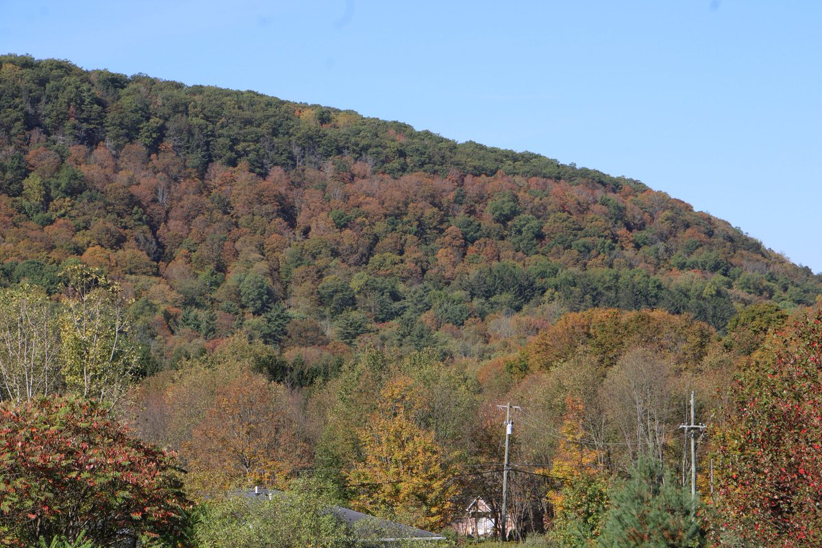 Jihan B. tweet media