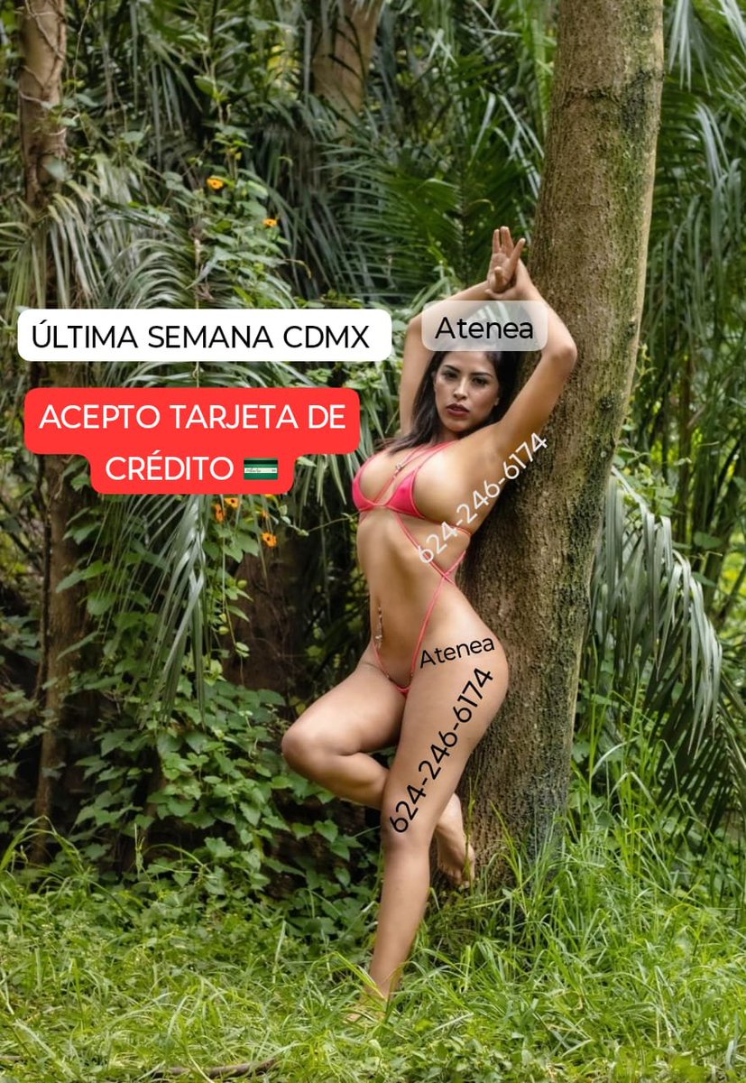 t.me/+CSX0LShNe6c4M… 

t.me/+vNCa6FOz4XMxN… 

wa.me/+526242466174