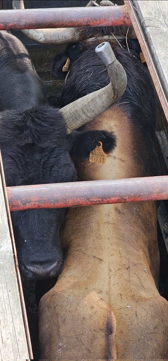 к я เ s t ๏ tweet media