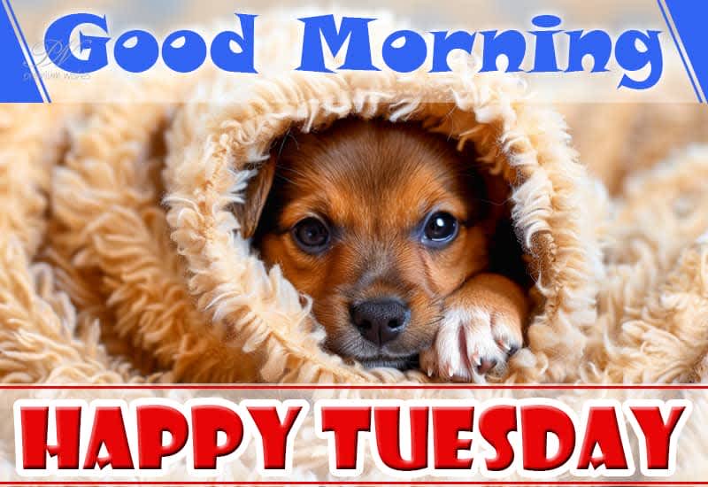 Enjoy! 💕🤗🤗💕
