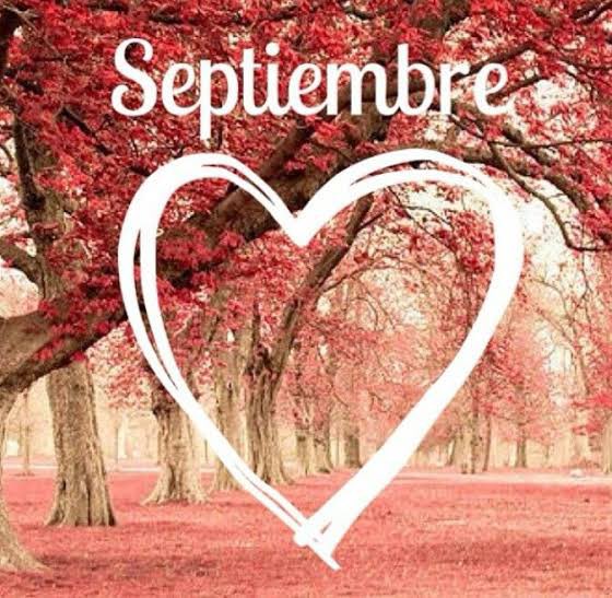 andy71soto's tweet image. Nos vemos en 11 meses y gracias por todo... por todo 🥰🤩😍🤩🥰

#Septiembre