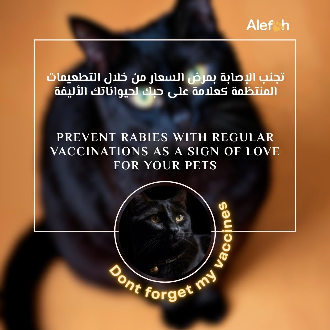 alefah_sa's tweet photo. #WorldRabaisDay https://t.co/Hm1cPL2Bjf