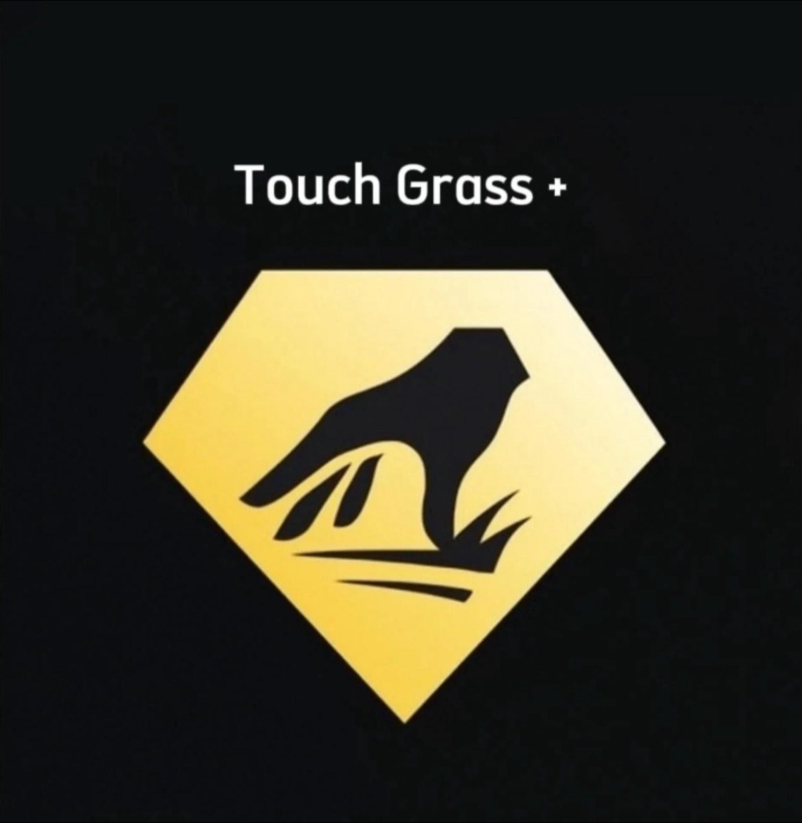 Castro1021 tweet media