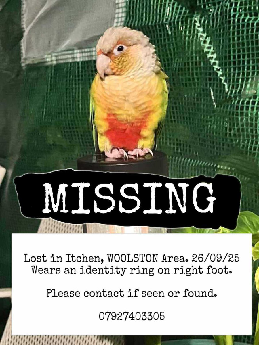 Birdline UK (@birdlineuk) on Twitter photo 