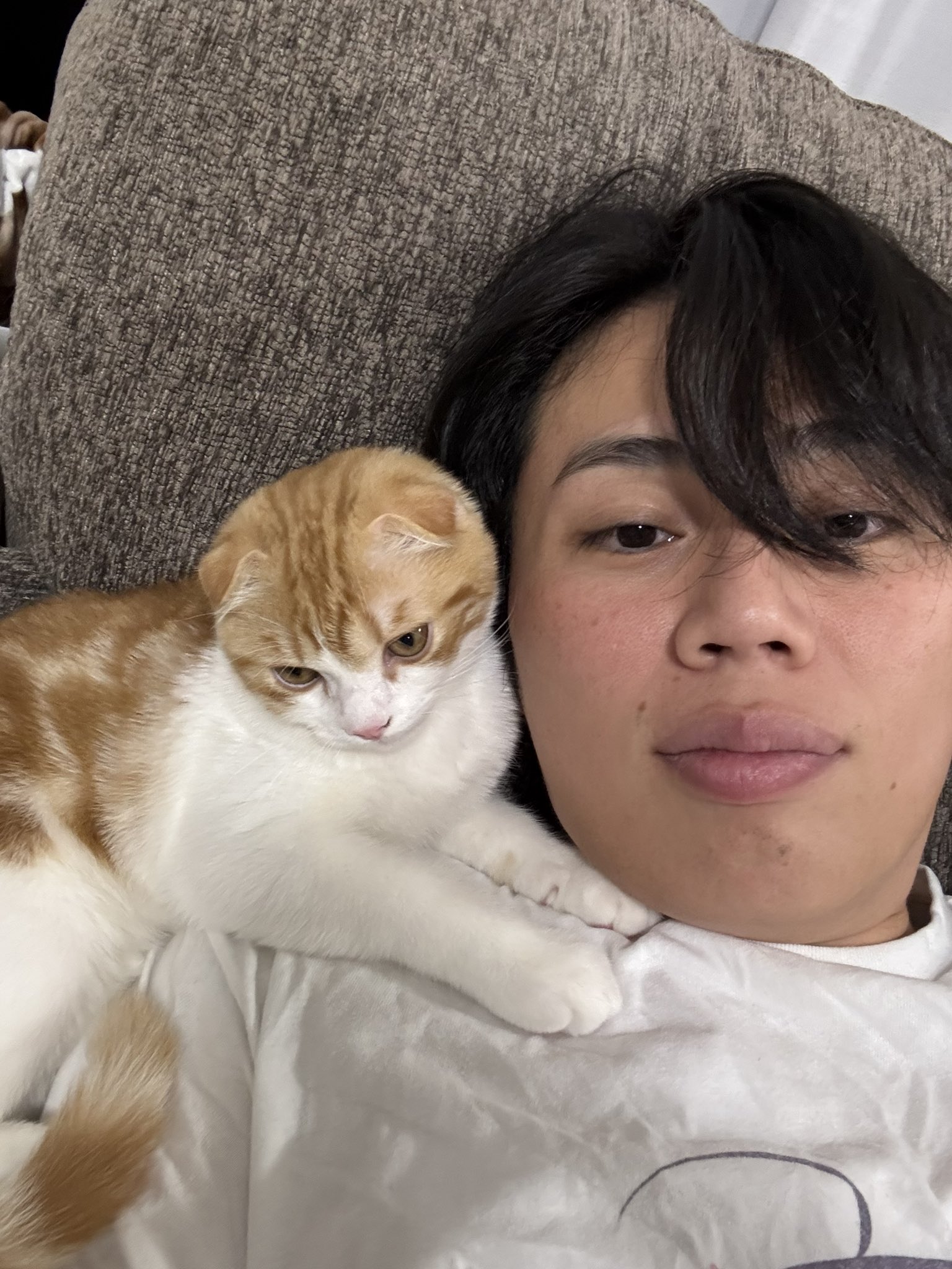 おまめ - Search / X