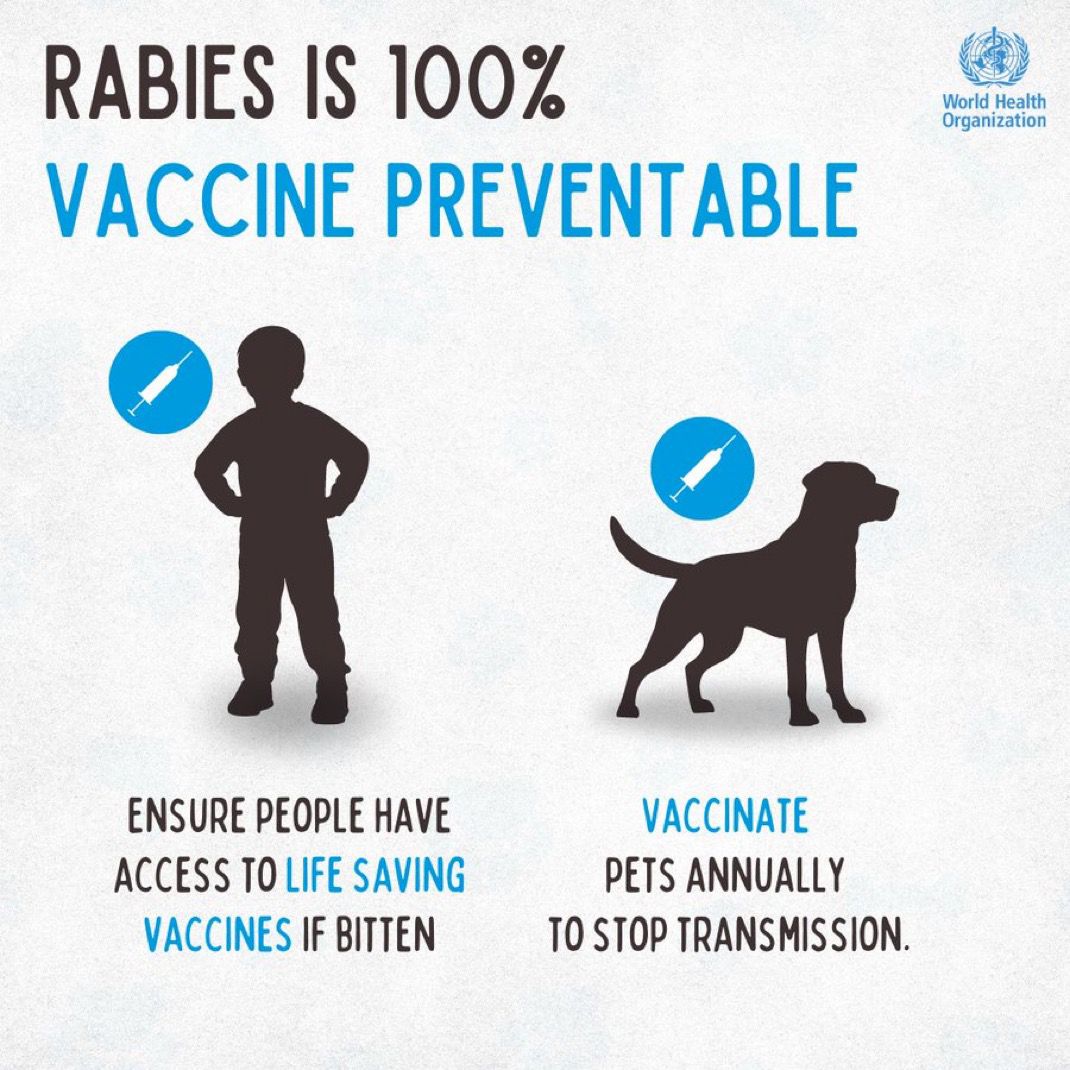 Pressbox Ltd (@pressboxltd) on Twitter photo On the occasion of #WorldRabiesDay, WHO says nearly 60,000 people die every year from rabies across 150 countries. In Rwanda, more than 2600 cases of dog bites were recorded according to <a href="/RBCRwanda/">Rwanda Biomedical Centre</a>. Two bite cases resulted in rabies infections, with one death and one survival. On the occasion of #WorldRabiesDay, WHO says nearly 60,000 people die every year from rabies across 150 countries. In Rwanda, more than 2600 cases of dog bites were recorded according to <a href="/RBCRwanda/">Rwanda Biomedical Centre</a>. Two bite cases resulted in rabies infections, with one death and one survival.