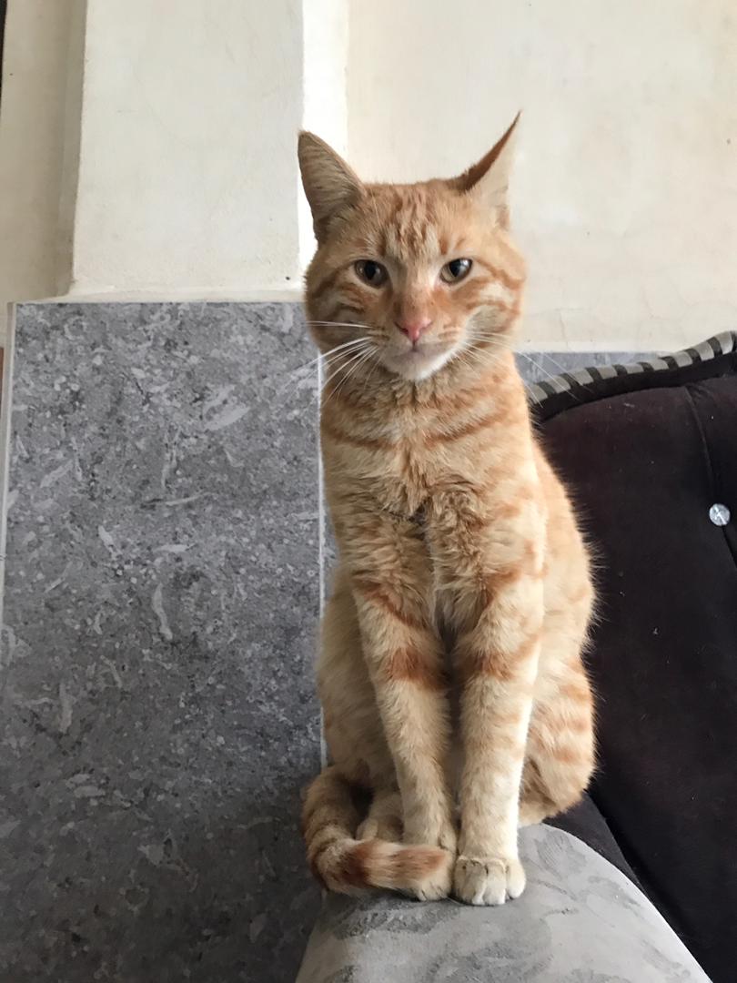 رقیه🎀 tweet media