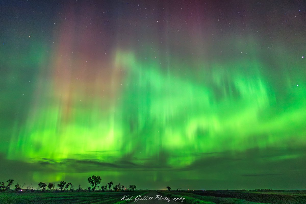 wxkylegillett's tweet photo. A sky full of swirling greens last night. Ardoch, North Dakota. https://t.co/QZylQUthvE