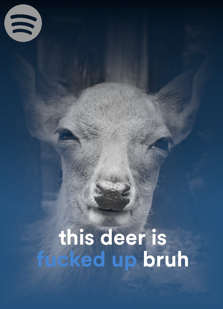 Deer in Places they Shouldn't Be (@deershouldnt) on Twitter photo 