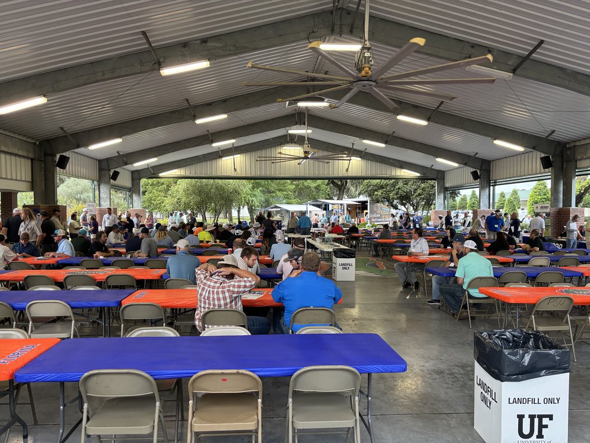 ShowtimePossum's tweet image. U of F field day 😎