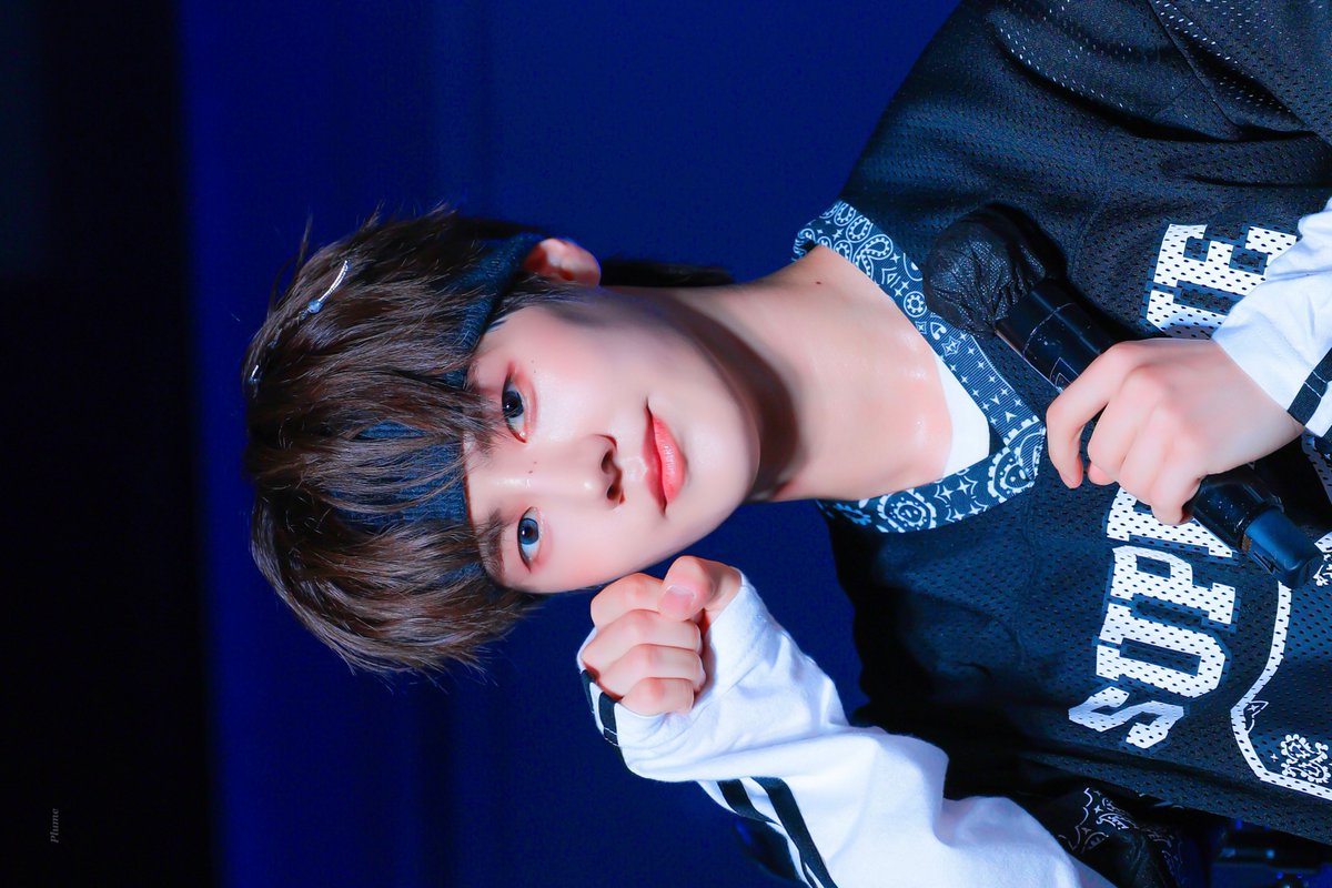 𝑷𝒍𝒖𝒎𝒆 ． tweet media