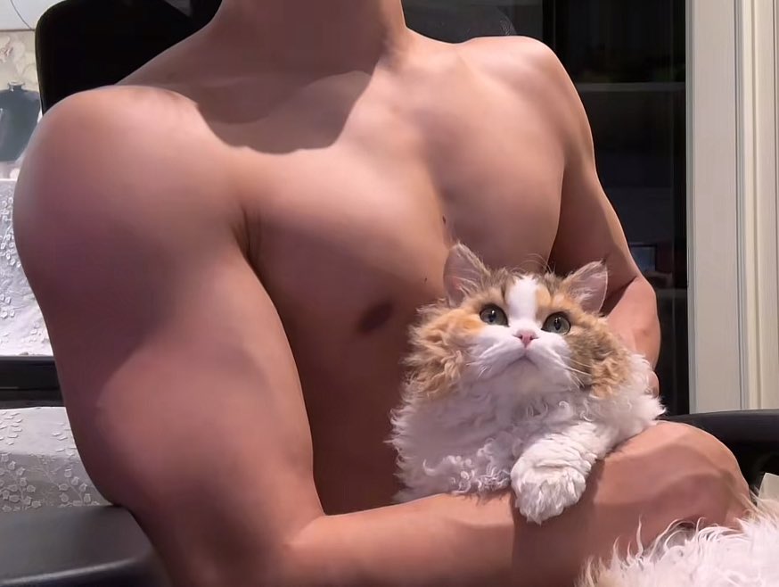 我家貓會做飯 要來我家嗎看看嗎
#健身博主 #s #小貓 #手控 #腹肌  #薄肌帅哥 #單男