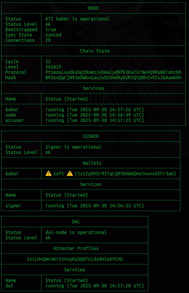 TezBake supports baking with a soft key for use cases that are appropriate. One example is using it for one's consensus* key.

Never rely on soft keys to protect your baking funds.

*An attacker can double bake on purpose and slash your funds after stealing your consensus key.