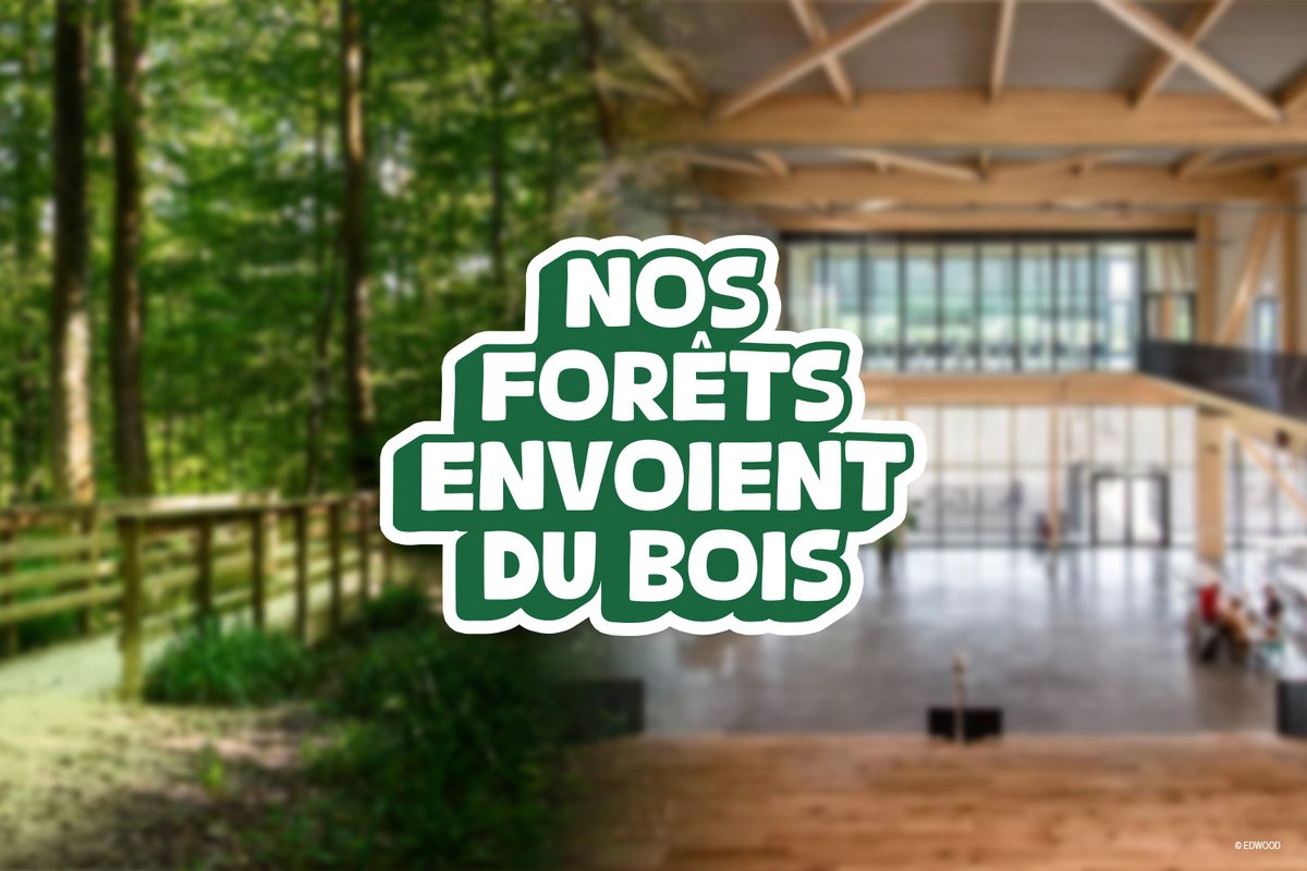 🤔 Vous ne savez pas encore pourquoi nos forêts envoient du bois ?

➡️ La réponse en 20 secondes ci-dessous et sur Youtube 👉 youtu.be/_WjjsIBg08c

+ d’infos sur la campagne 👉 franceboisforet.fr/nos-forets-env…

#NosForêtsEnvoientDuBois