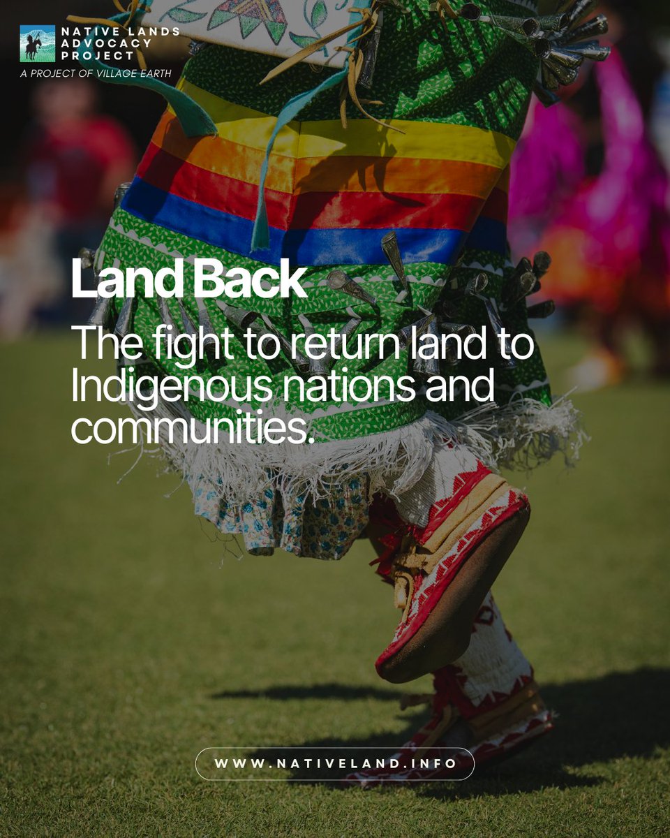 Native Lands Advocacy Project tweet media