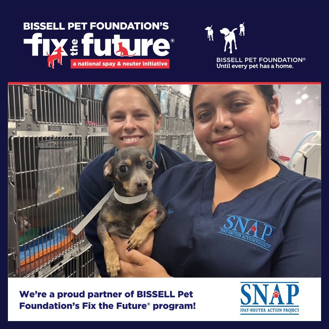 SNAPspayneuter's tweet image. 🐾 Proud to partner with @BISSELLPets Fix the Future® bringing vital spay/neuter to our community!

📅 Oct 9 – El Cajon
📅 Oct 21 – Fallbrook (sponsored by Fallbrook Animal Sanctuary)

📲 Book: snap-sandiego.org/appointments

#SNAPSanDiego
 #FixTheFuture
 #SpayAndNeuter