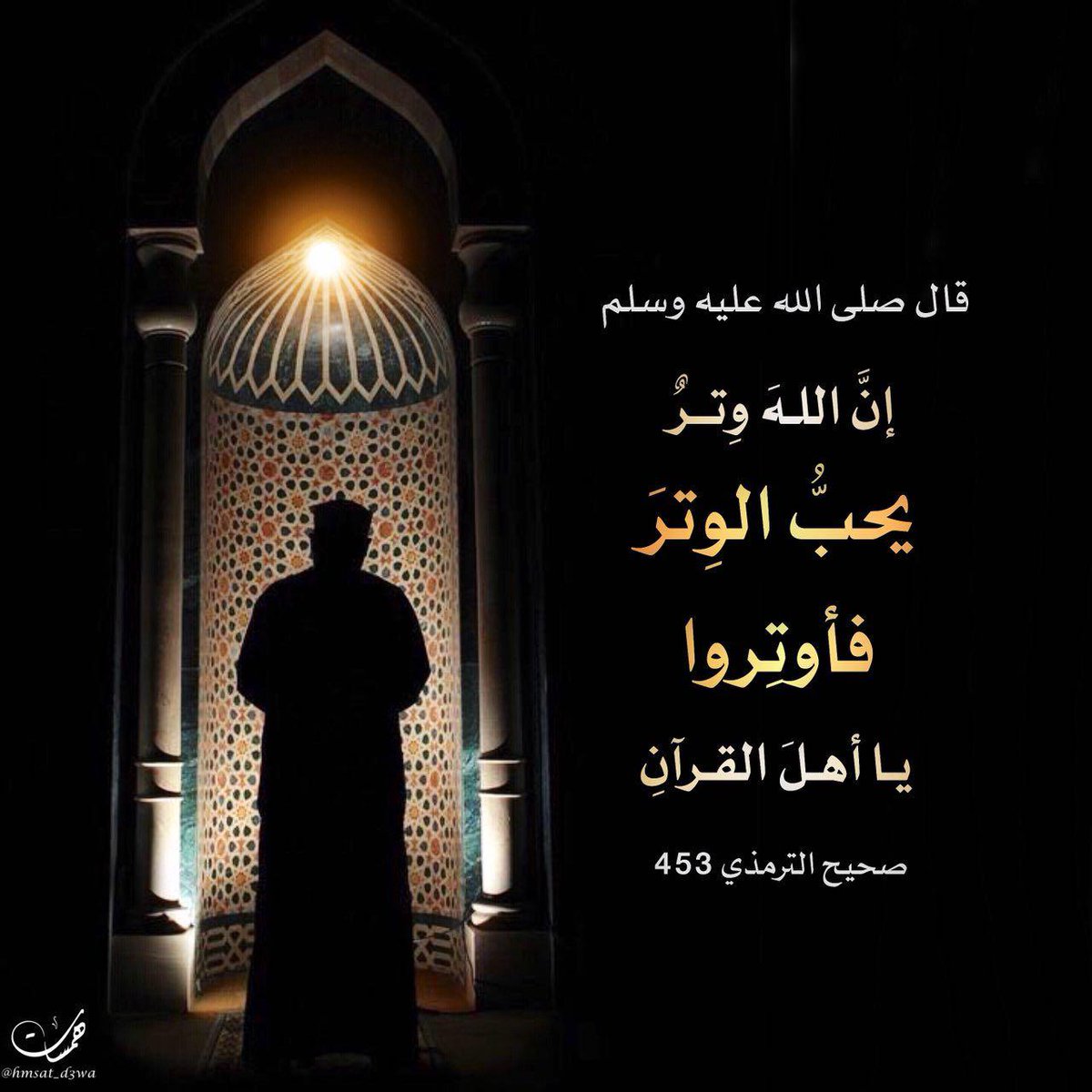 صــــــدر شـــــــــــمـــــالــــــي🇸🇦 tweet media