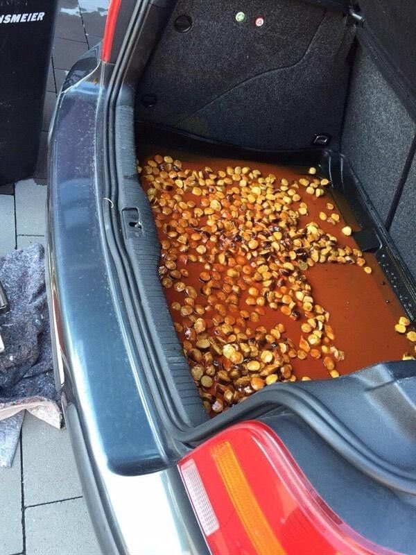 Veríais con buen ojo si abro un restaurante donde comer mejillones en el maletero de un ford fiesta ?