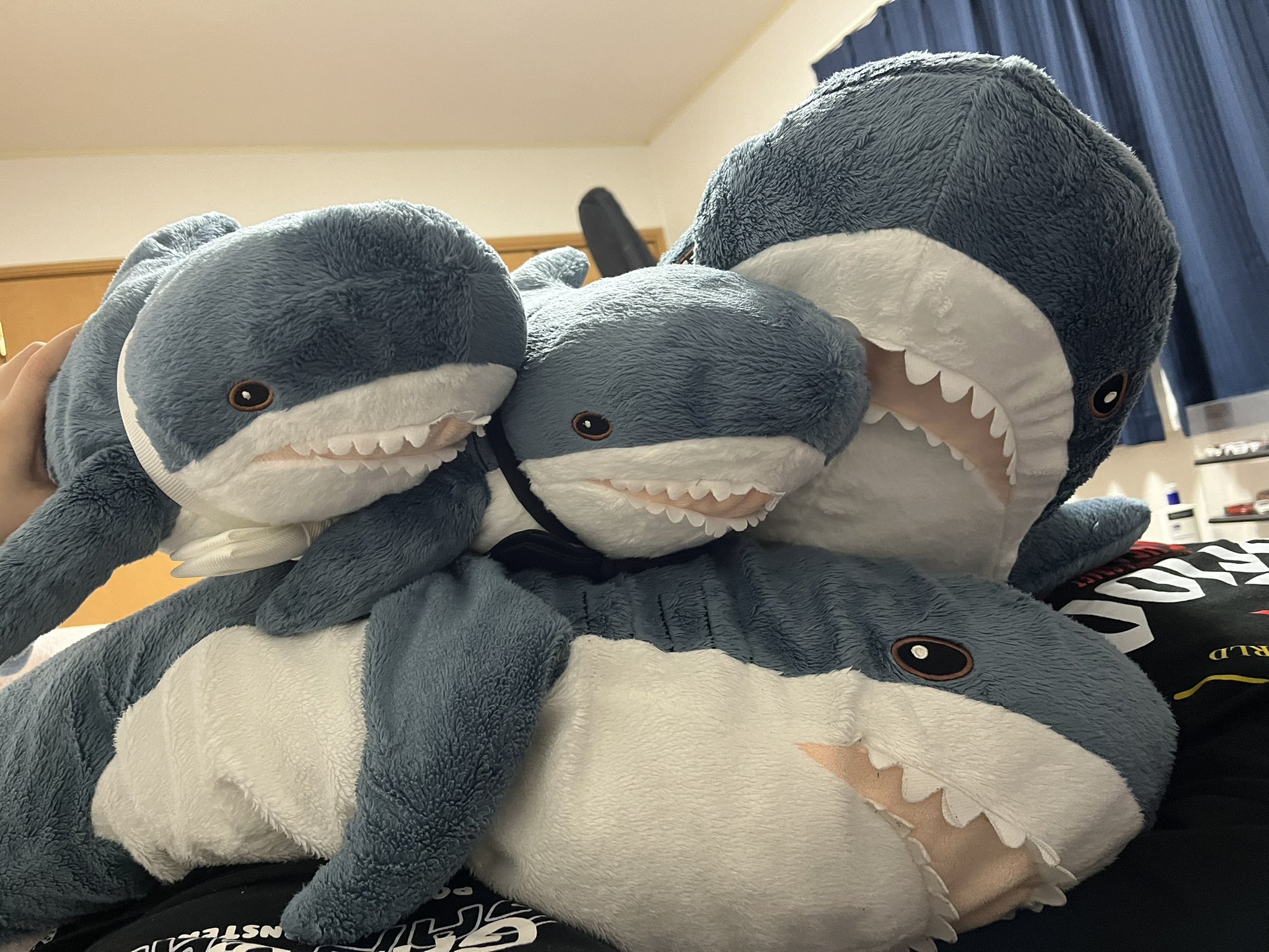サメすけ (@shark_kawaii8) / X