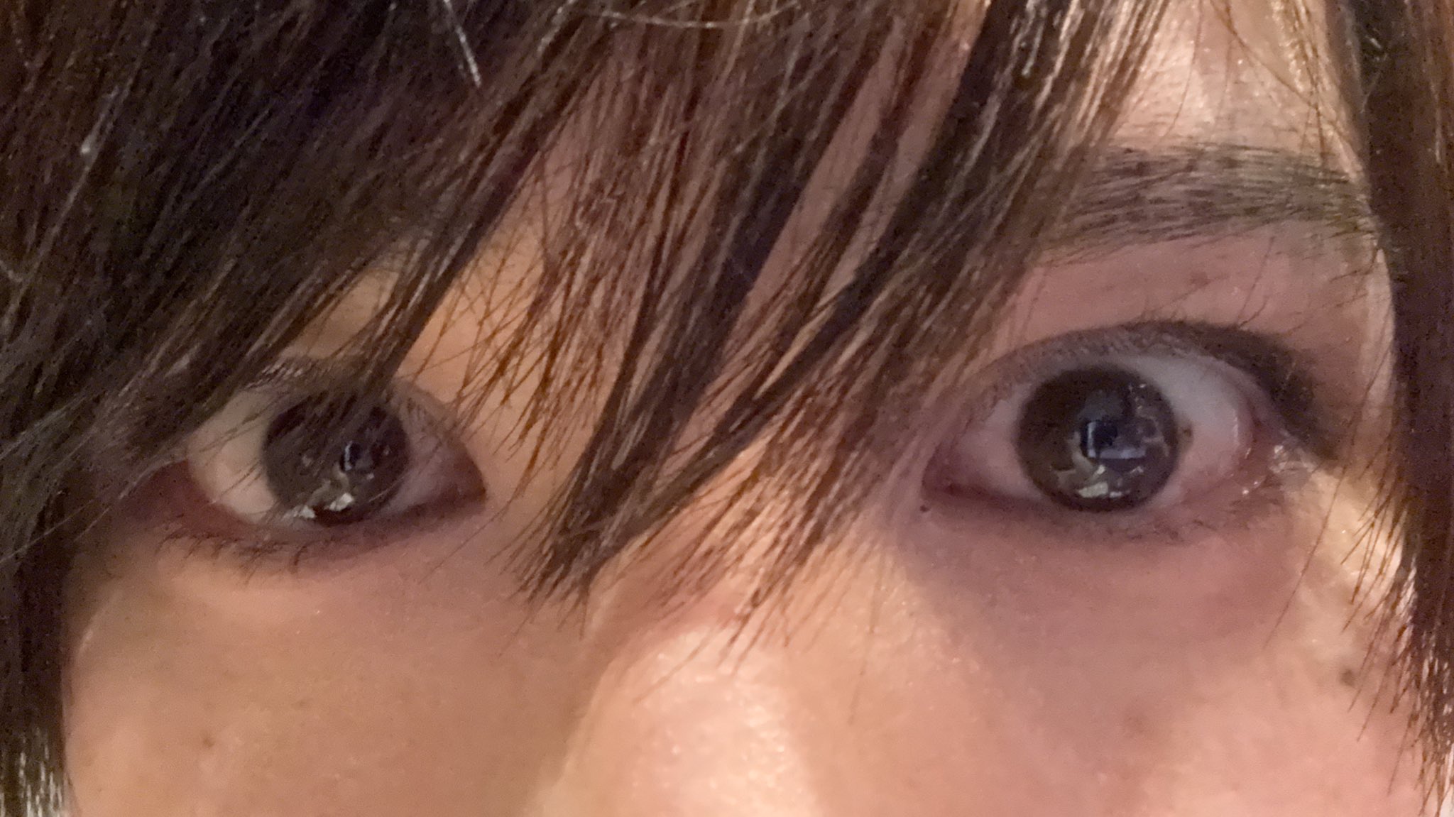 りんたろ。【XP!A】9/20生誕 (@Rintaro_XPIA) / X