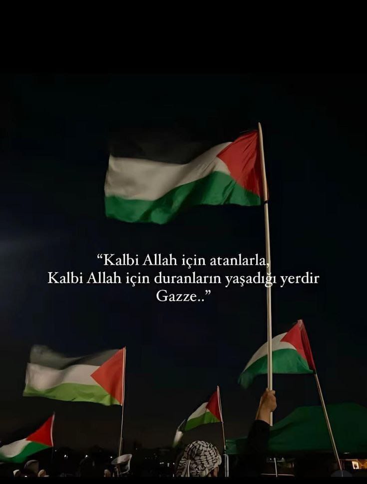 altn_69's tweet photo. https://t.co/z3mUQ2sK6n