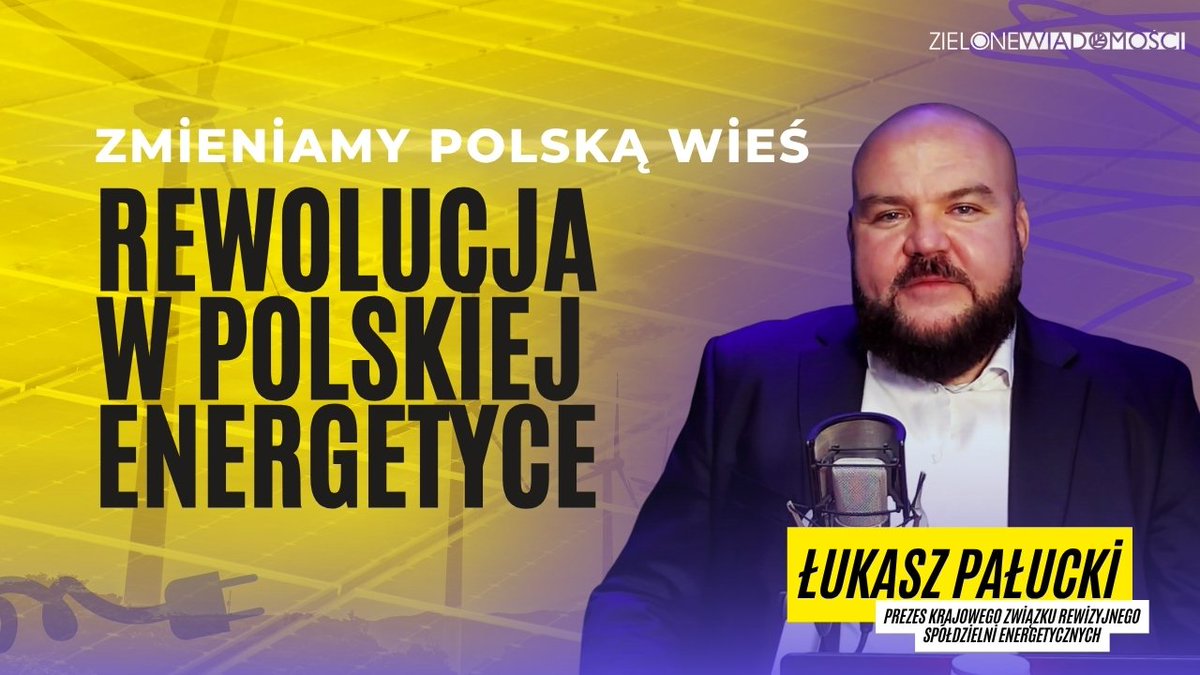 Zielone Wiadomości tweet media