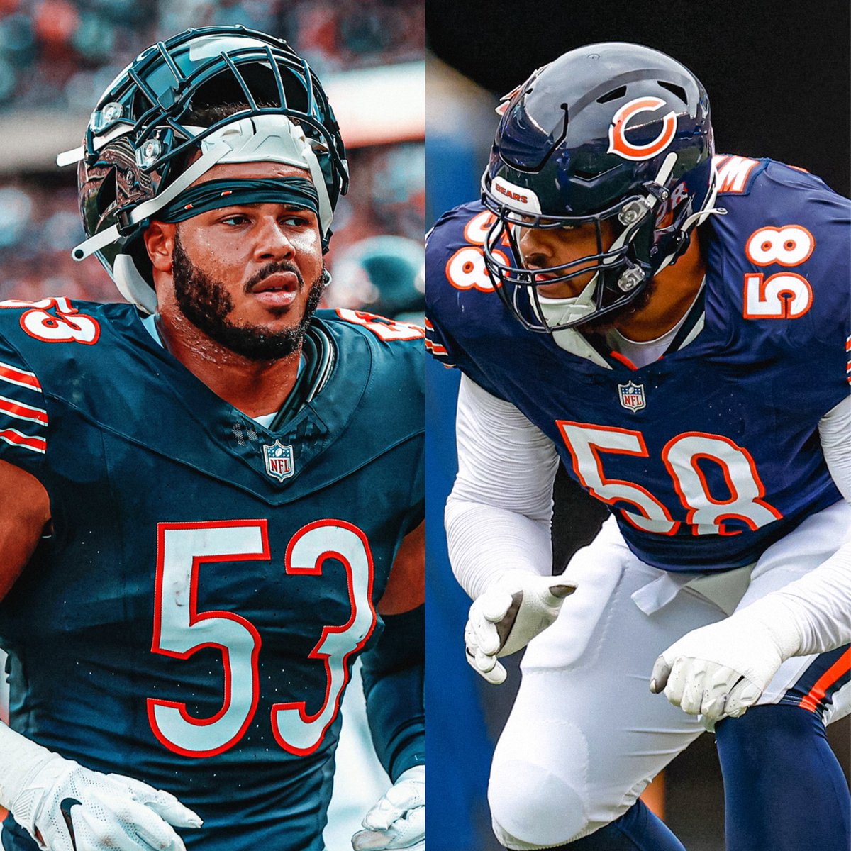 Bears DFA tweet media