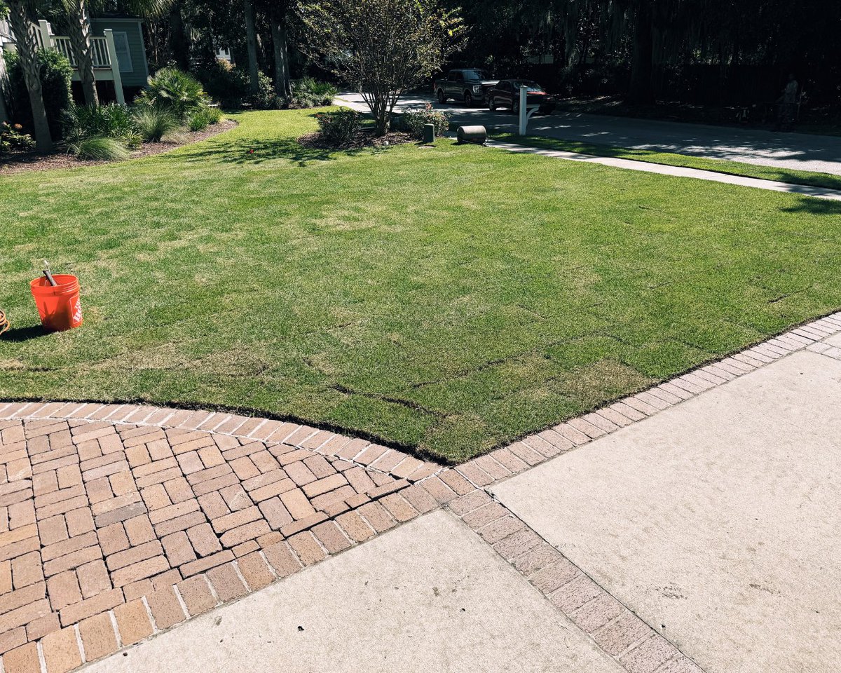 SodSolutions's tweet photo. EMPIRE® Zoysia has been the standard for over two decades. In Mount Pleasant, EMPIRE is transforming lawns in the blink of an eye thanks to our #TitansofTurf, Premier Horticulture! https://t.co/gMfSdsOi4L