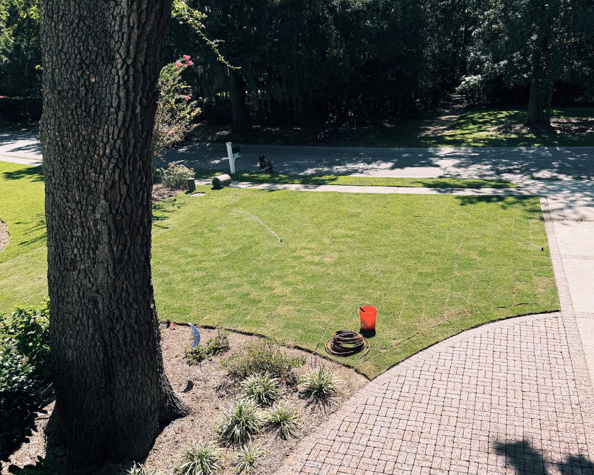 SodSolutions's tweet photo. EMPIRE® Zoysia has been the standard for over two decades. In Mount Pleasant, EMPIRE is transforming lawns in the blink of an eye thanks to our #TitansofTurf, Premier Horticulture! https://t.co/gMfSdsOi4L