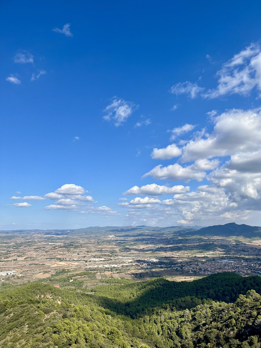 Àlex Rebollo tweet media