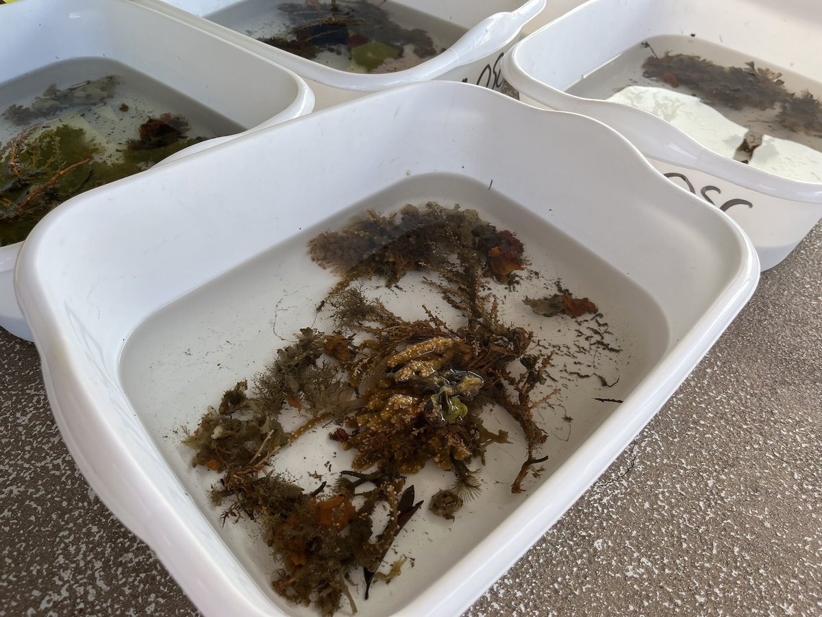 PBCSD Science tweet media