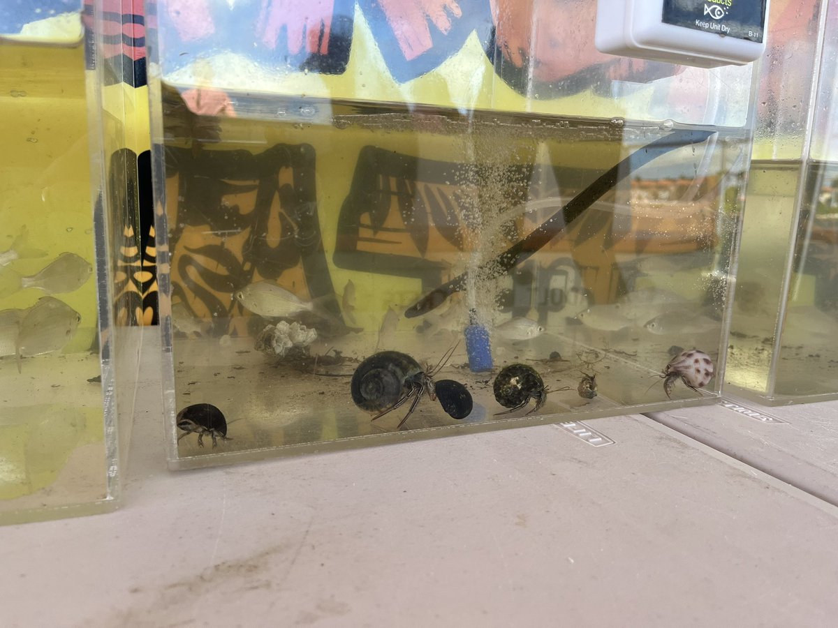 PBCSD Science tweet media