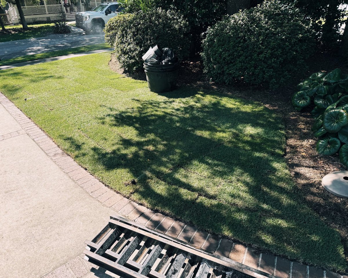 SodSolutions's tweet photo. EMPIRE® Zoysia has been the standard for over two decades. In Mount Pleasant, EMPIRE is transforming lawns in the blink of an eye thanks to our #TitansofTurf, Premier Horticulture! https://t.co/gMfSdsOi4L