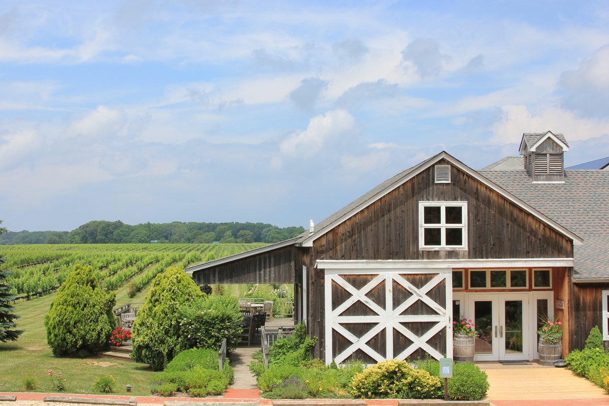 Discover Long Island tweet media