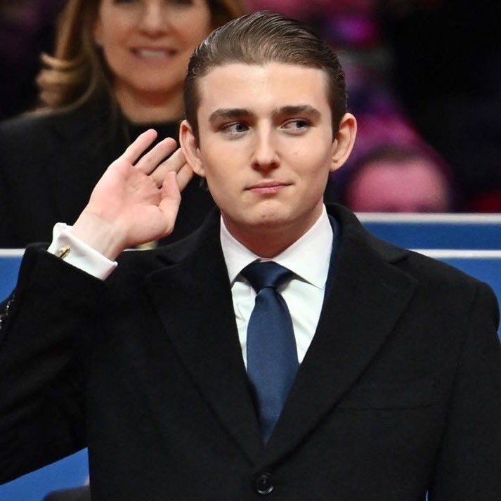 Mr. Whale tweet media