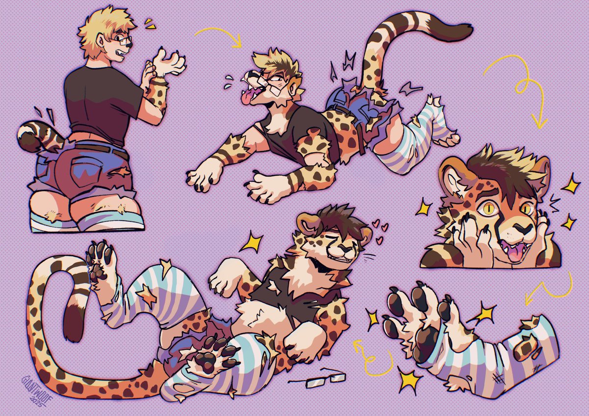 Panzica Chee 🔜 FWA tweet media