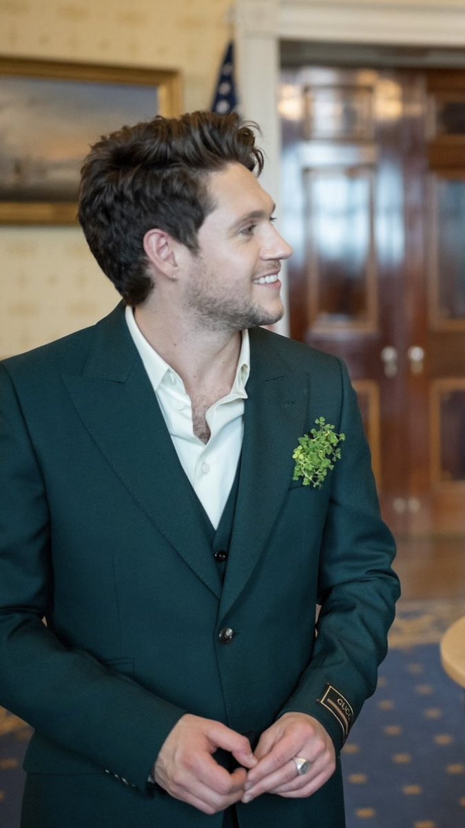 littlestomperry's tweet image. day 28🧡 

Niall in a suit

#ProjectNiall #NiallsMonth