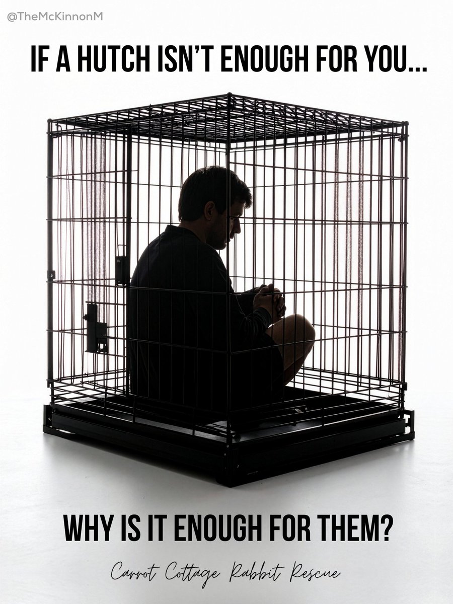 One Minute Brief of the Day:  Create posters that bring to life the message ‘Rabbit Rescue  #AHutchIsntEnough’ with
<a href="/carrotcottagerr/">Carrot Cottage Rabbit Rescue</a> <a href="/OneMinuteBriefs/">One Minute Briefs ⏱️</a> 
Vote for Carrot Cottage Rescue to receive funding here: mygivingcircle.org/carrot-cottage…