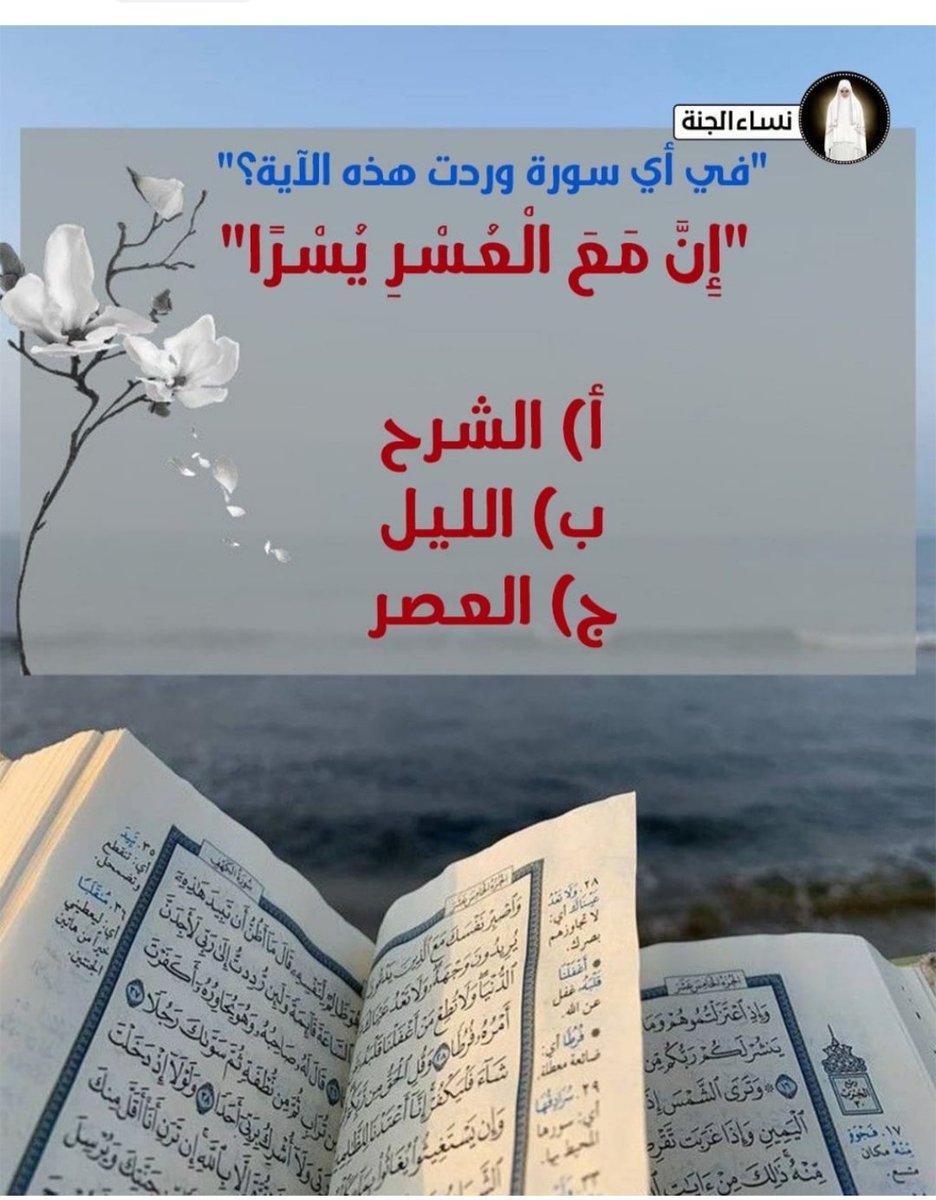 Salma Alashry tweet media