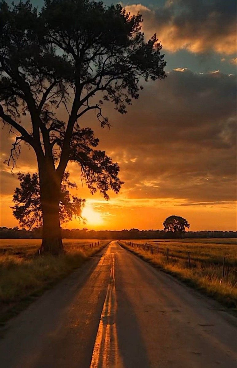 Good evening everyone! 🧡