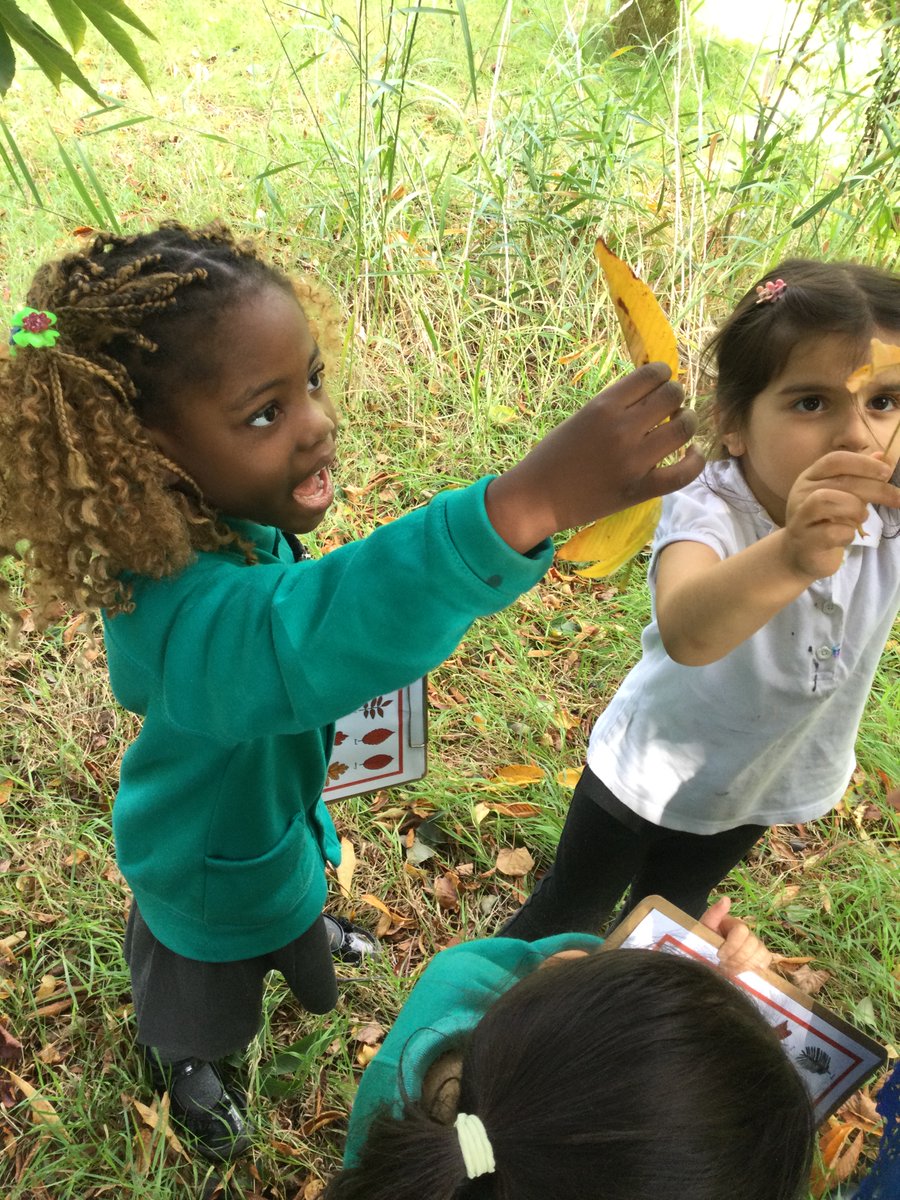 Haslam Park Primary School tweet media