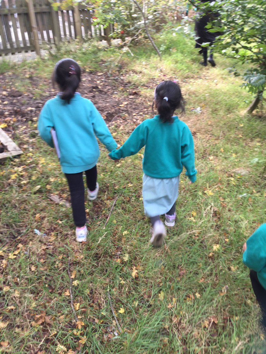 Haslam Park Primary School tweet media