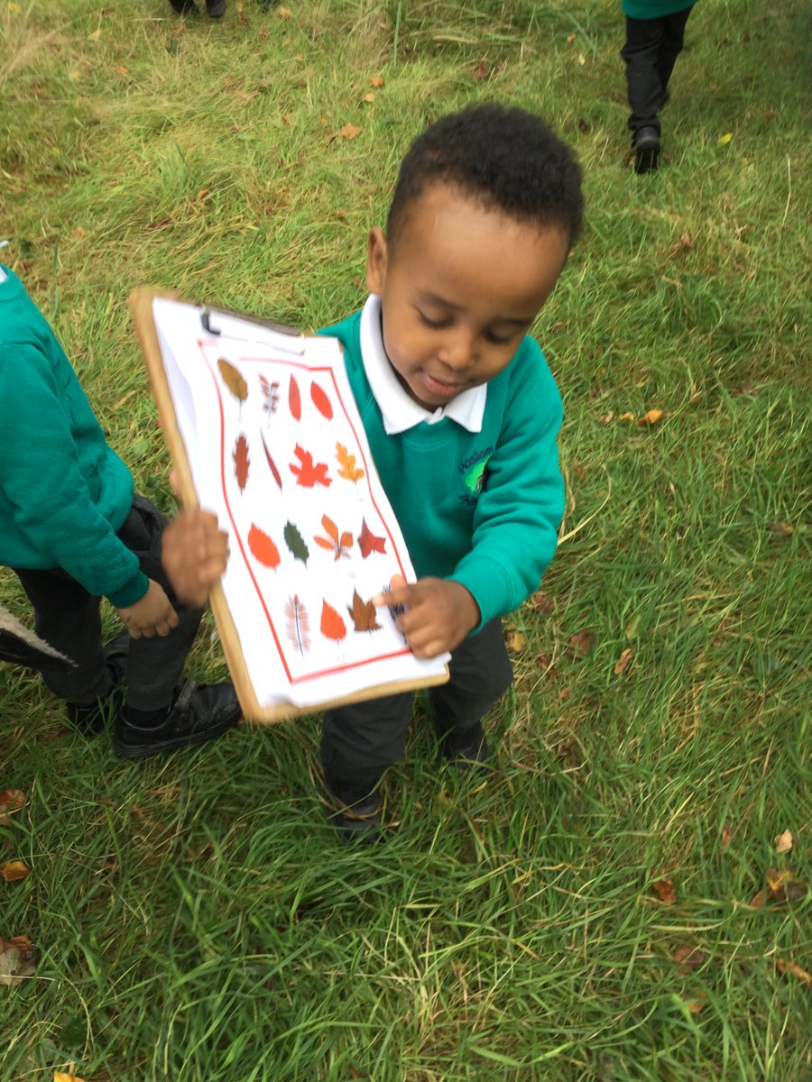 Haslam Park Primary School tweet media