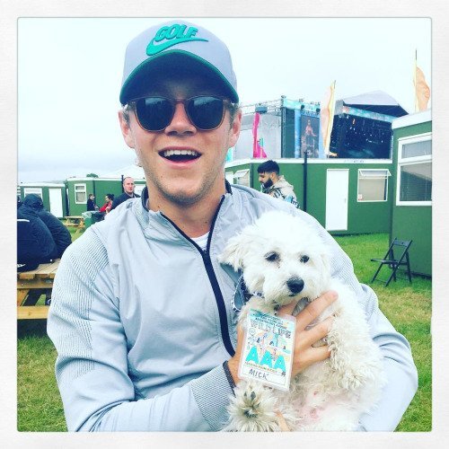 littlestomperry's tweet image. day 29🧡 

Niall with an animal

#ProjectNiall #NiallsMonth