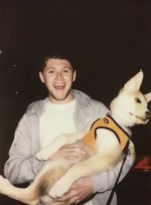 littlestomperry's tweet image. day 29🧡 

Niall with an animal

#ProjectNiall #NiallsMonth