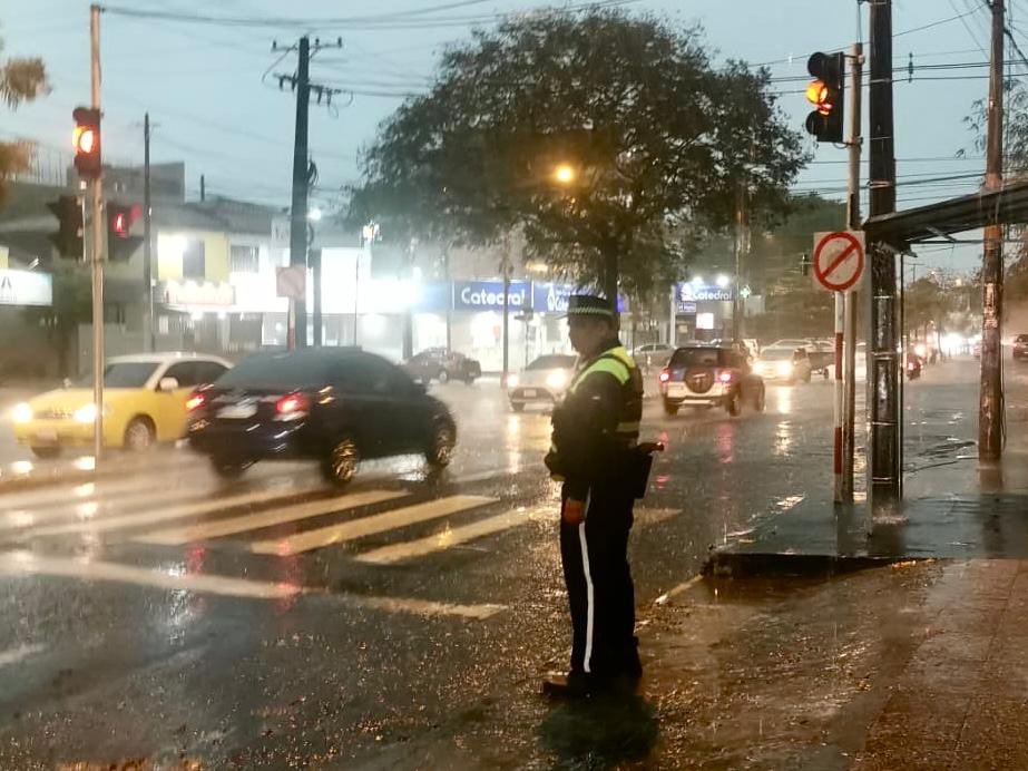 Luis Bello tweet media