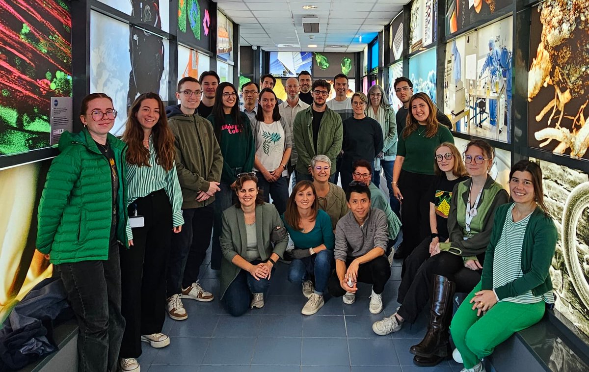 [#LGMD2025]
💥 On September 30, we stand with everyone affected by limb-girdle muscular dystrophies. At <a href="/GenethonFr/">GENETHON France</a>, every step toward innovative therapies matters: FKRP, gamma-sarcoglycanopathy, calpainopathy… 💚
💪Every step forward matters.
#LimbGirdleAwarenessDay