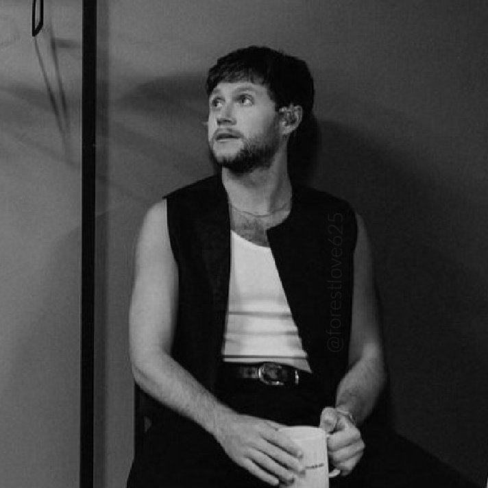 littlestomperry's tweet image. day 30🧡 

black and white pic of niall

#ProjectNiall #NiallsMonth